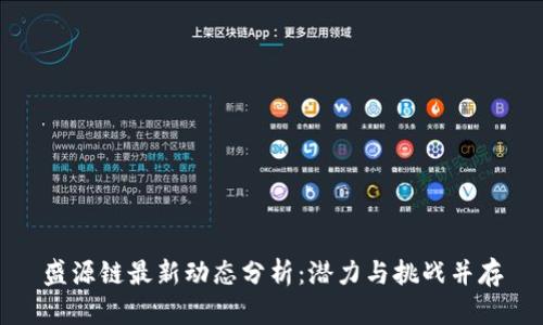 盛源链最新动态分析：潜力与挑战并存