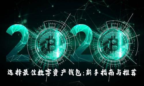 选择最佳数字资产钱包：新手指南与推荐