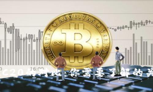 USDT Omni与ERC20的对比：你需要了解的关键点与选择指南