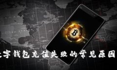 揭秘中国数字钱包充值失败的常见原因与解决方