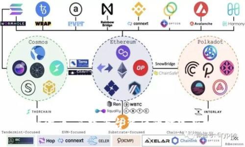 揭秘波币：直播平台背后的财富新机遇