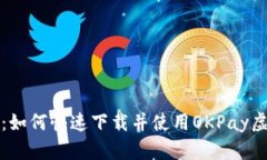 全面解析：如何快速下载并使用OKPay虚拟币钱包