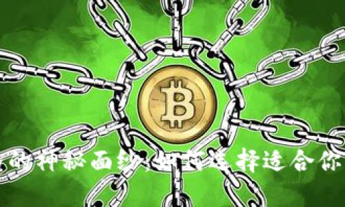 揭开区块链钱包价格的神秘面纱：如何选择适合你的数字资产管理工具