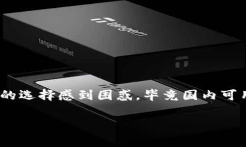 国内用的区块链钱包叫什么是一个很常见的搜索问题，尤其是在越来越多的人开始了解和参与加密货币和区块链技术的今天。很多用户对区块链钱包的选择感到困惑，毕竟国内可用的区块链钱包种类繁多，每种钱包的特点、功能和安全性也各不相同。那么，究竟国内有哪些值得推荐的区块链钱包呢？接下来我们就来详细探讨一下。

国内必备的区块链钱包有哪些？