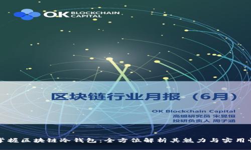 掌握区块链冷钱包：全方位解析其魅力与实用性