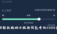 如何轻松找回小狐狸钱包中的CORE资产