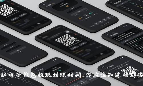 揭秘电子钱包提现到账时间：你应该知道的那些事