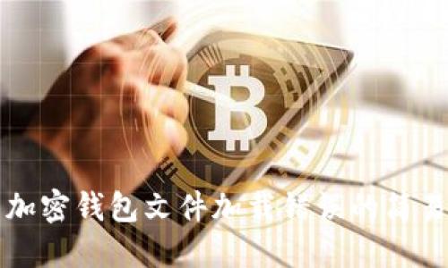 解决加密钱包文件加载错误的简易指南