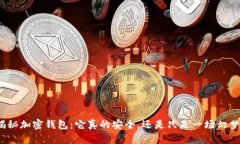 揭秘加密钱包：它真的安全，还是只是一场幻梦