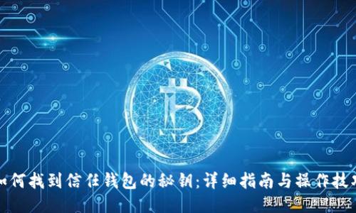 如何找到信任钱包的秘钥：详细指南与操作技巧