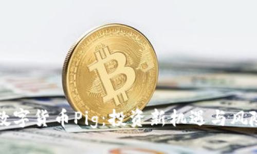 揭秘数字货币Pig：投资新机遇与风险分析