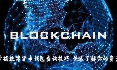 轻松掌握数字货币钱包查询技巧，快速了解你的