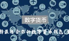 如何选择最适合你的数字货币钱包：全面指南