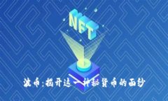 波币：揭开这一神秘货币的面纱