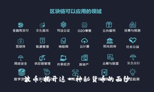 波币：揭开这一神秘货币的面纱