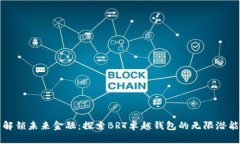 解锁未来金融：探索BRT卓越钱包的无限潜能