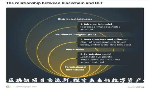 加入区块链项目交流群，探索未来的数字资产世界