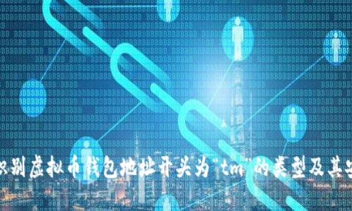 如何识别虚拟币钱包地址开头为“tm”的类型及其安全性
