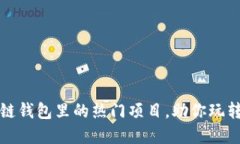 深入探索区块链钱包里的热门项目，助你玩转数