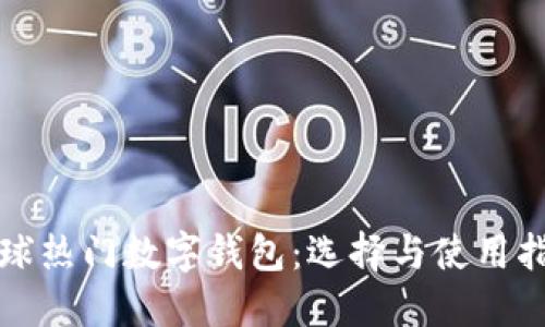 全球热门数字钱包：选择与使用指南