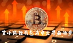 轻松设置小狐狸钱包为中文界面的步骤指南