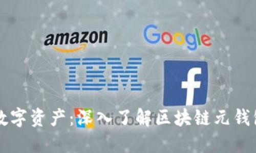 全面掌控您的数字资产：深入了解区块链元钱包的功能与应用