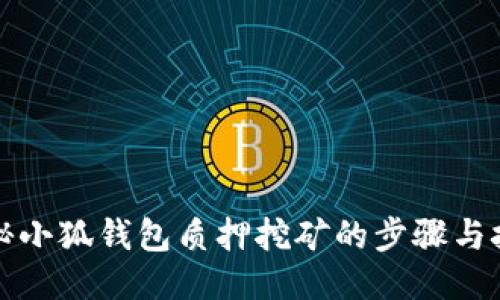 揭秘小狐钱包质押挖矿的步骤与技巧