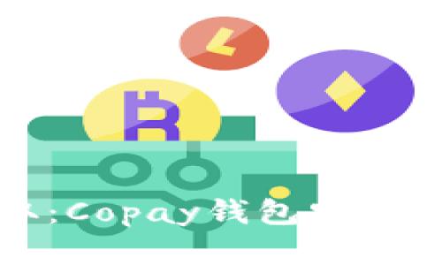 轻松获取：Copay钱包安卓下载指南