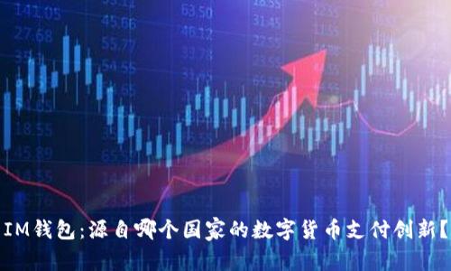 IM钱包：源自哪个国家的数字货币支付创新？