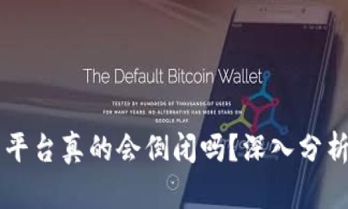虚拟币钱包平台真的会倒闭吗？深入分析与未来展望