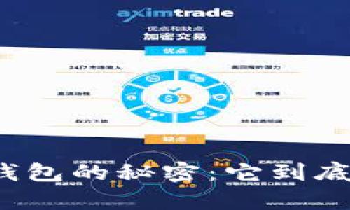揭秘区块链钱包的秘密：它到底存放了什么？