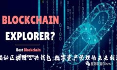 揭秘区块链公共钱包：数字资产管理的未来利器