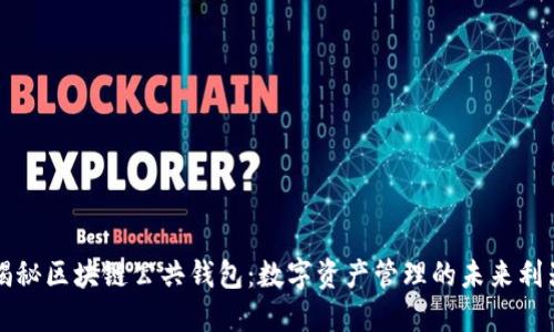 揭秘区块链公共钱包：数字资产管理的未来利器