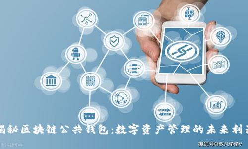 揭秘区块链公共钱包：数字资产管理的未来利器