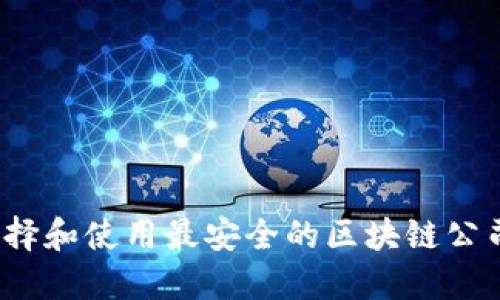 如何选择和使用最安全的区块链公司钱包？
