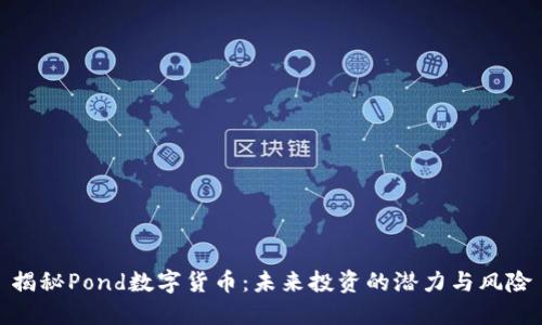 揭秘Pond数字货币：未来投资的潜力与风险