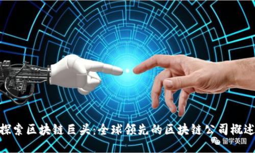 探索区块链巨头：全球领先的区块链公司概述