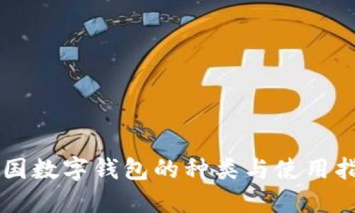 中国数字钱包的种类与使用指南