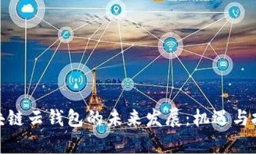 探索区块链云钱包的未来发展：机遇与挑战并存