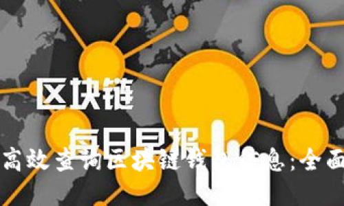 如何高效查询区块链钱包信息：全面指南