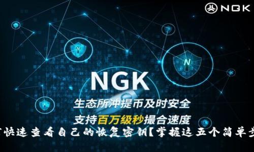 如何快速查看自己的恢复密钥？掌握这五个简单步骤！