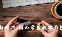 畅享支付新时代：国内常用数字钱包全景解析