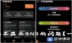 如何解决MetaMask不显示BNB的问题？一步步教你轻松