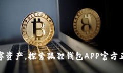轻松掌控数字资产，探索狐狸钱包APP官方正版中