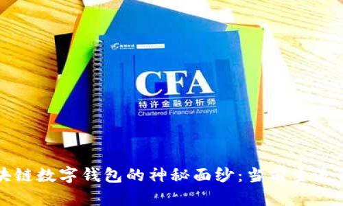 揭开美国区块链数字钱包的神秘面纱：当前主流钱包全面解析