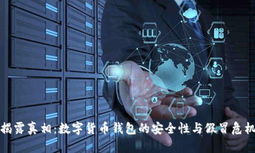 揭露真相：数字货币钱包的安全性与假冒危机