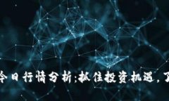 BTCS币价格今日行情分析：抓住投资机遇，了解市