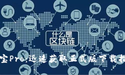 波宝Pro：迅速获取正式版下载指南