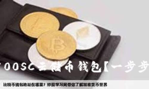 如何选择和使用区块链100SC云储币钱包？一步步带你领略云储币的魅力！