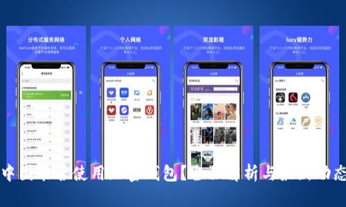 中国能否使用加密钱包？全面解析与最新动态